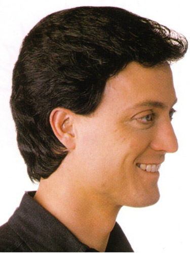 Capless Synthetic Mens Wig